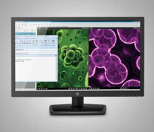 HP t3101
