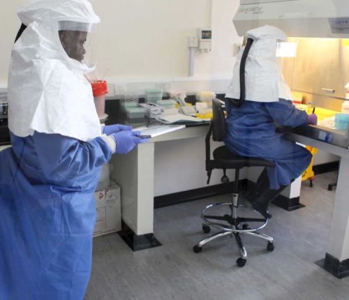 La enfermedad del Ebola ha generado un gran interés en la población. La enfermedad del Ebola ha generado un gran interés en la población.