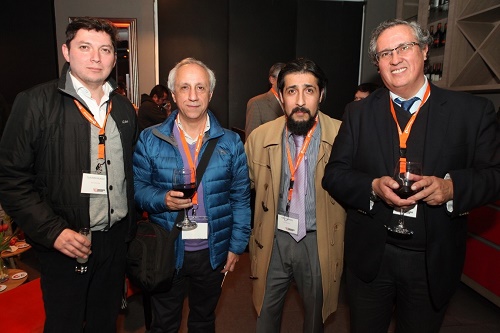 Pure Live Chile: San Consulting