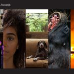 SWPA – Ganadores 2019 alta