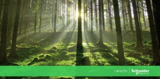 Schneider Electric se suma a la celebración del Día Mundial de la Energía