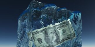 Ingram Micro y Adobe aseguran el dólar a sus clientes