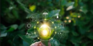 Ricoh distinguida en el cuidado del medioambiente