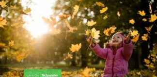 Schneider Electric cerró 2022 con buenos resultados en Sostenibilidad