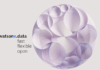 IBM presenta la plataforma Watsonx de Inteligencia Artificial
