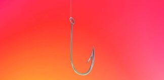 Sitios web sin protección son explotados para estafas de phishing