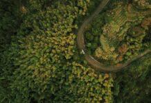 Día de la Tierra: ¿Por qué la electricidad 4.0 es una vía directa al Carbon Zero?
