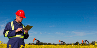 La revolución digital en la agroindustria: datos en tiempo real desde el campo La revolución digital en la agroindustria
